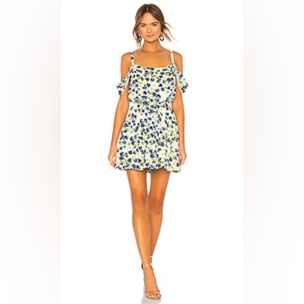 Privacy Please Troy Mini Dress